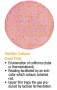 Petrifilm Coliform Count Plate